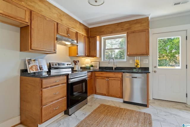 kitchen with sink, stainless steel appliances, ornamental molding, and plenty of natural light