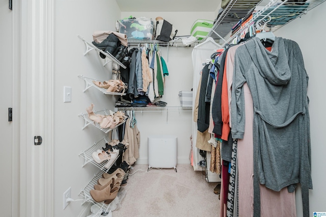 spacious closet with light colored carpet