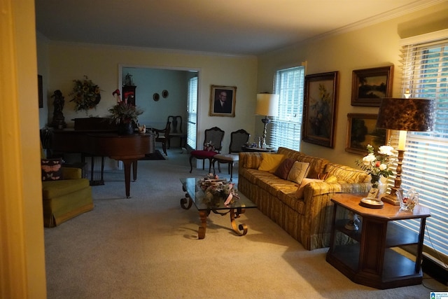 carpeted living room with a healthy amount of sunlight and crown molding