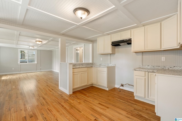 kitchen with light wood-type flooring