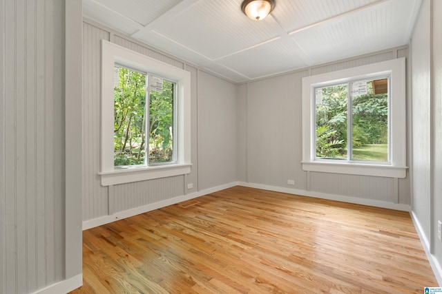 empty room with light wood-type flooring