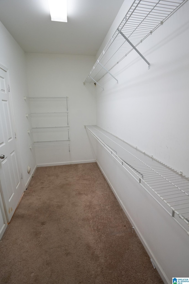 spacious closet with carpet floors