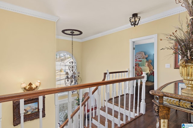 hall with dark hardwood / wood-style flooring and ornamental molding