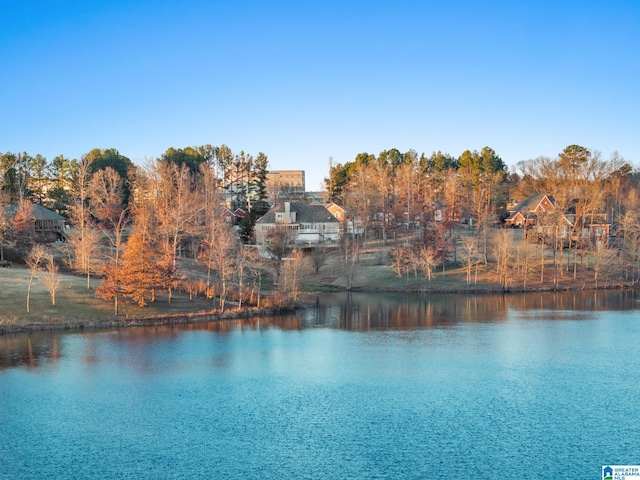 property view of water