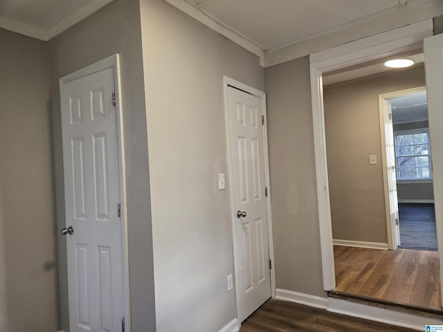 hallway featuring dark hardwood / wood-style flooring and ornamental molding