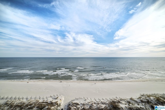 water view featuring a beach view