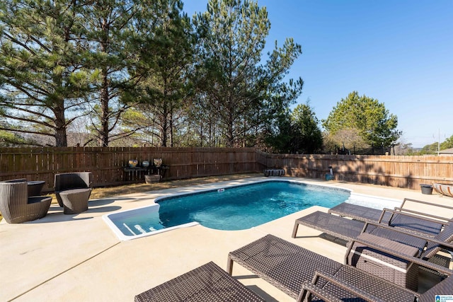 view of pool featuring a patio area