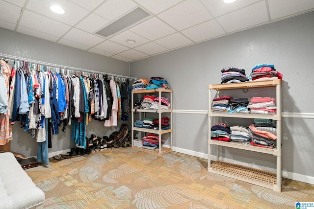 spacious closet featuring carpet floors and a paneled ceiling