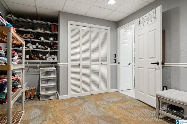 interior space featuring carpet floors and a drop ceiling