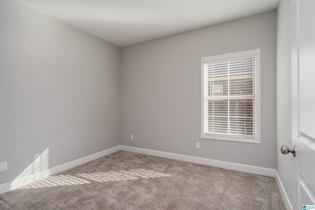 spare room featuring carpet floors