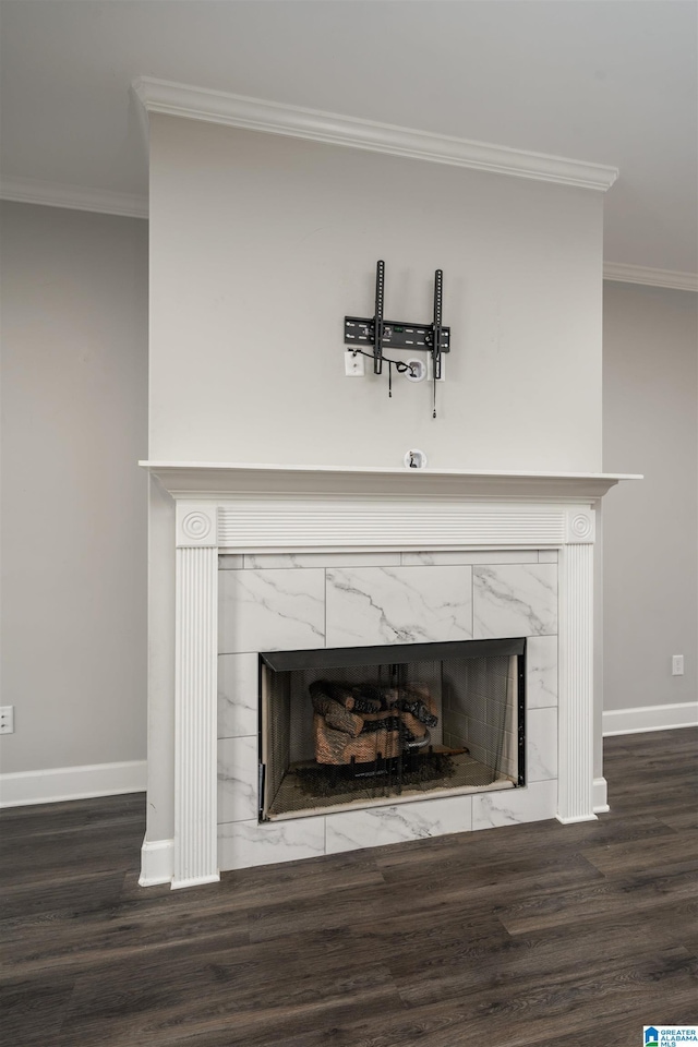 room details with a premium fireplace, wood-type flooring, and ornamental molding