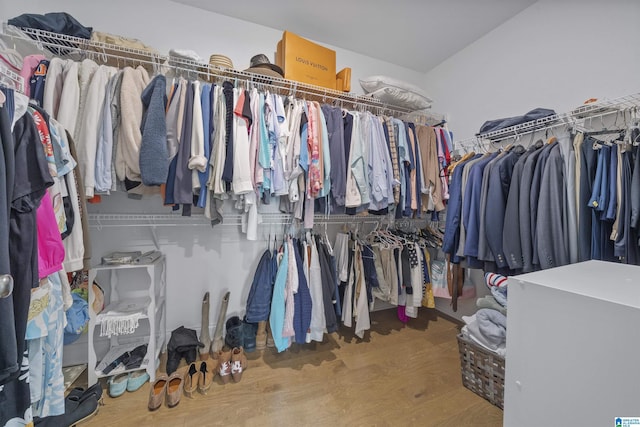 walk in closet with hardwood / wood-style floors