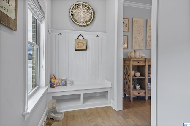 mudroom featuring hardwood / wood-style floors and crown molding