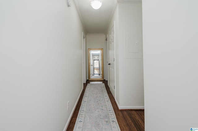 hall featuring electric panel, crown molding, and dark wood-type flooring