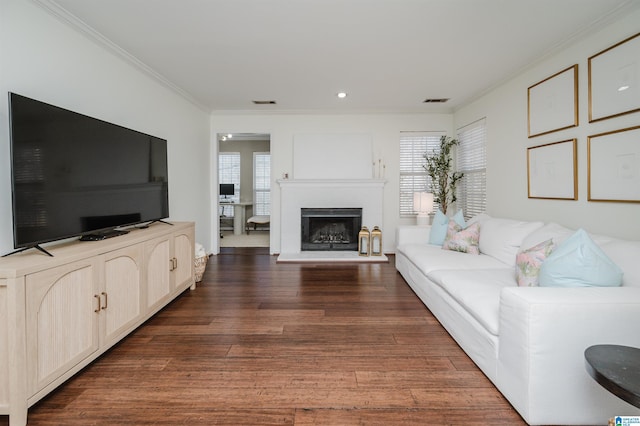 living room featuring dark hardwood / wood-style floors and ornamental molding