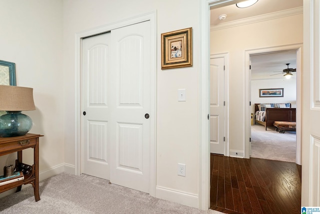 hallway with ornamental molding and carpet floors