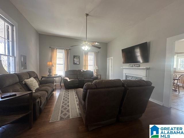 living room featuring ceiling fan and dark wood-type flooring