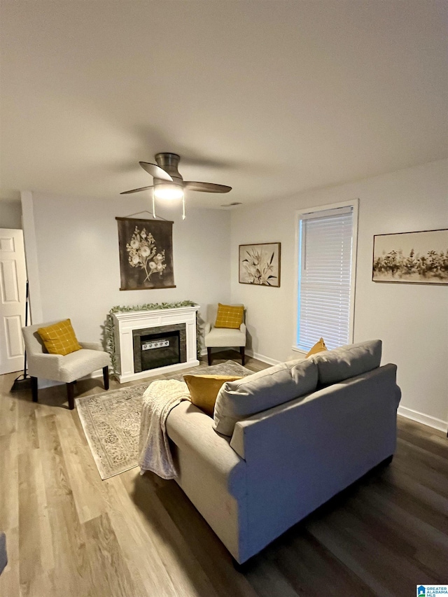 living room with ceiling fan and hardwood / wood-style flooring