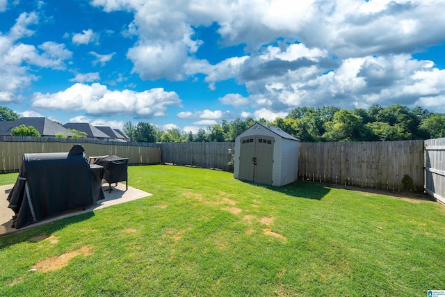 view of yard with a storage shed