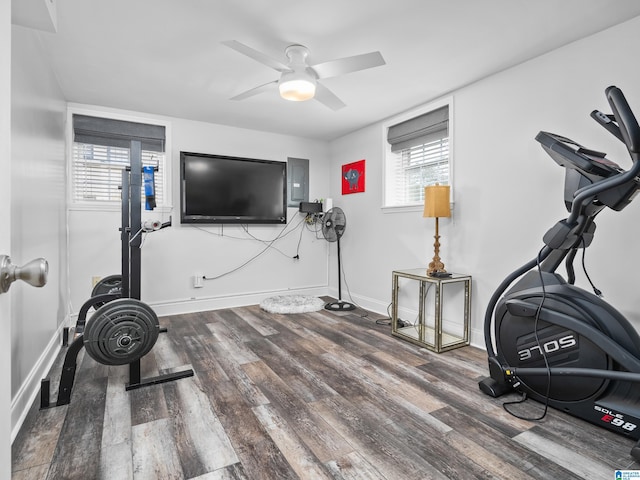 workout room with ceiling fan, electric panel, plenty of natural light, and hardwood / wood-style flooring