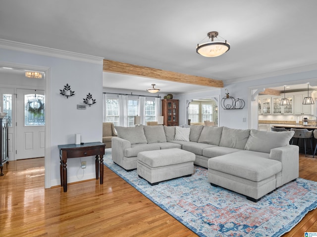 living room featuring hardwood / wood-style floors and crown molding