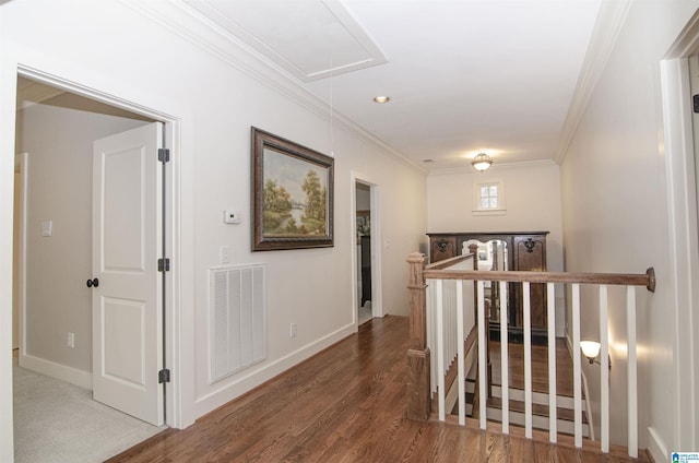 corridor with ornamental molding and dark hardwood / wood-style flooring