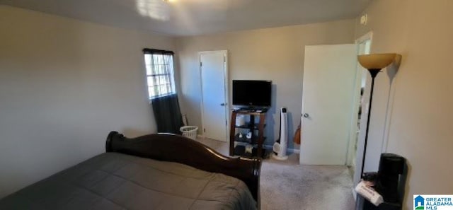 bedroom featuring carpet