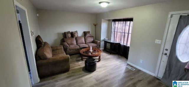 living room featuring hardwood / wood-style flooring