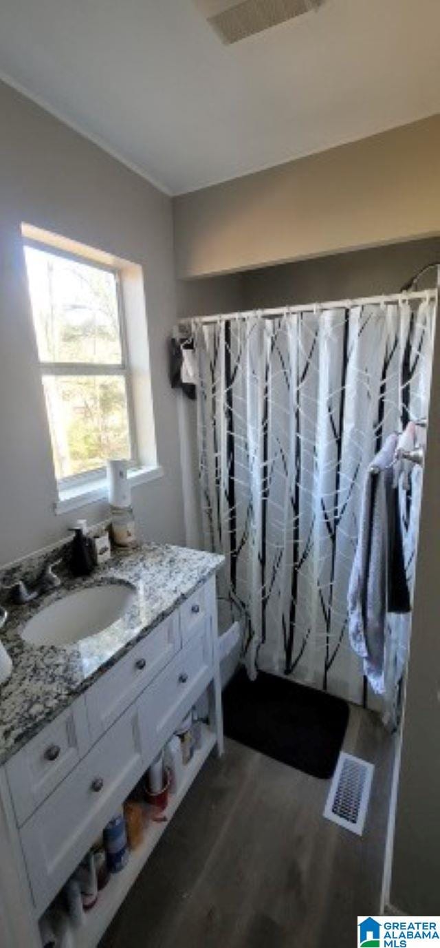 bathroom featuring hardwood / wood-style floors and vanity