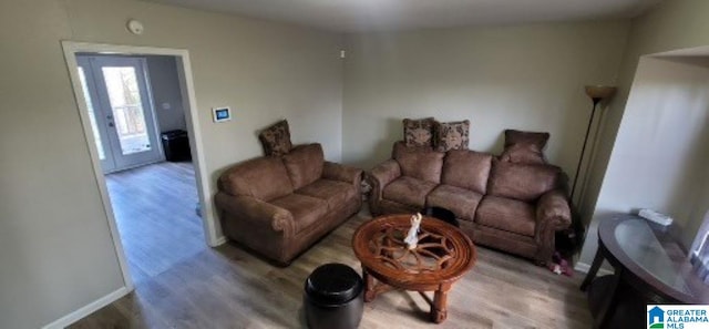 living room with wood-type flooring