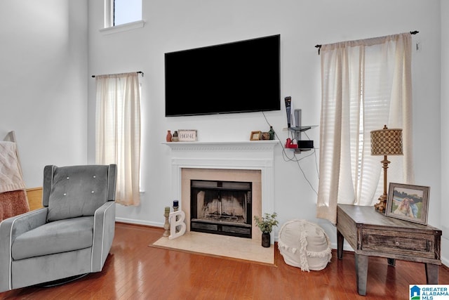 living room with wood-type flooring