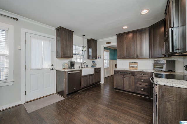 kitchen featuring dark wood-type flooring, stainless steel dishwasher, hanging light fixtures, dark brown cabinets, and sink