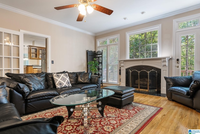 living room with light hardwood / wood-style floors, a premium fireplace, ornamental molding, and a wealth of natural light