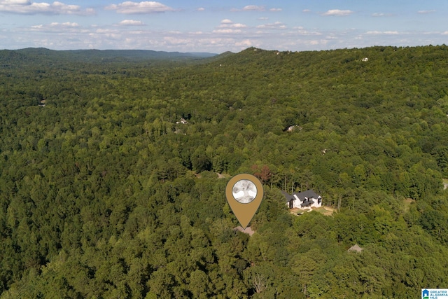 aerial view with a mountain view