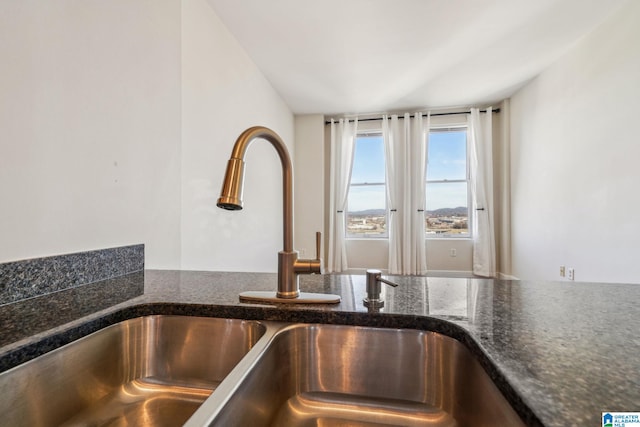 details with sink and dark stone countertops