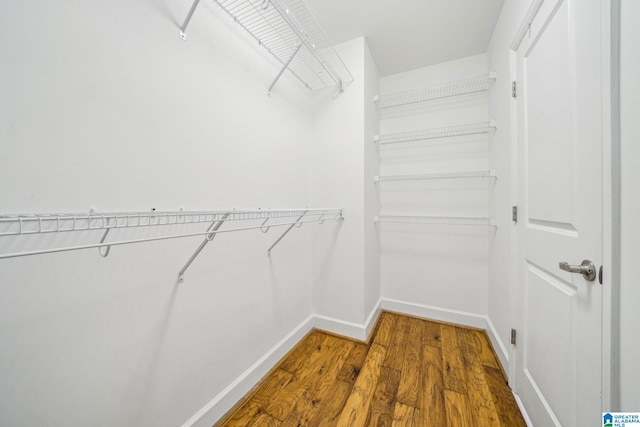 spacious closet with wood-type flooring