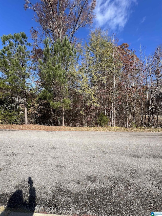 119 Walking Horse Trce Unit 17, Alabaster AL, 35007 land for sale