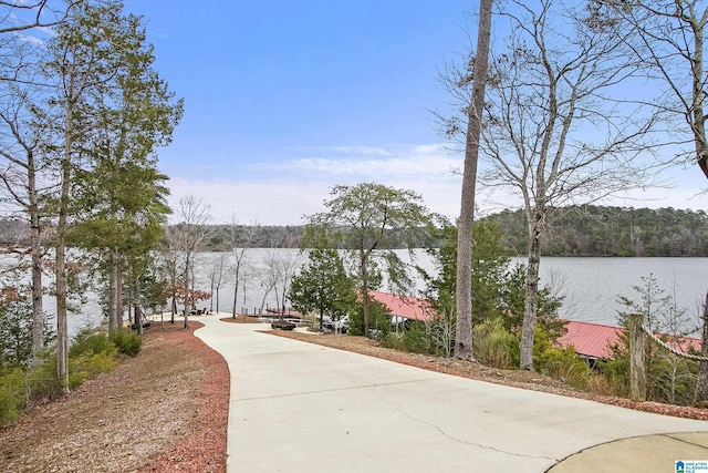 view of home's community featuring a water view