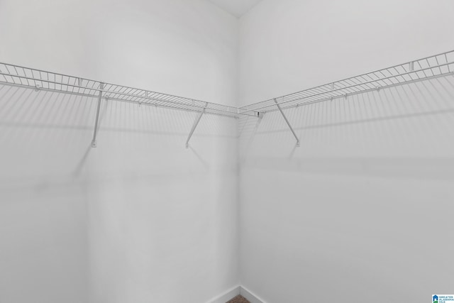 view of walk in closet