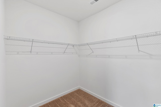 spacious closet with carpet flooring