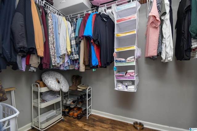 walk in closet with hardwood / wood-style floors