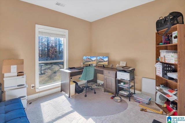 view of carpeted office space