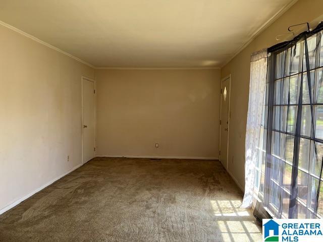 empty room featuring carpet floors and crown molding