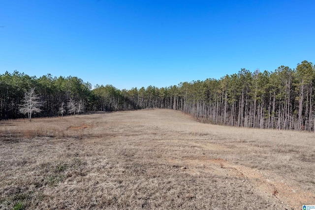 view of local wilderness featuring a rural view