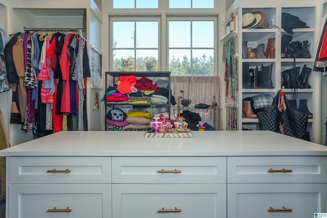 view of walk in closet