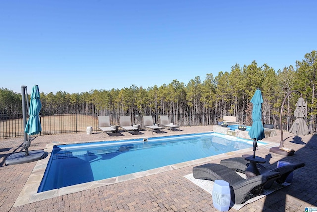 view of pool with a patio area