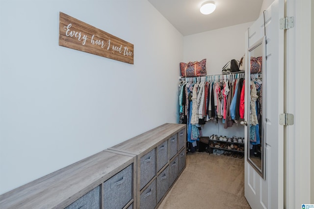 spacious closet featuring light carpet