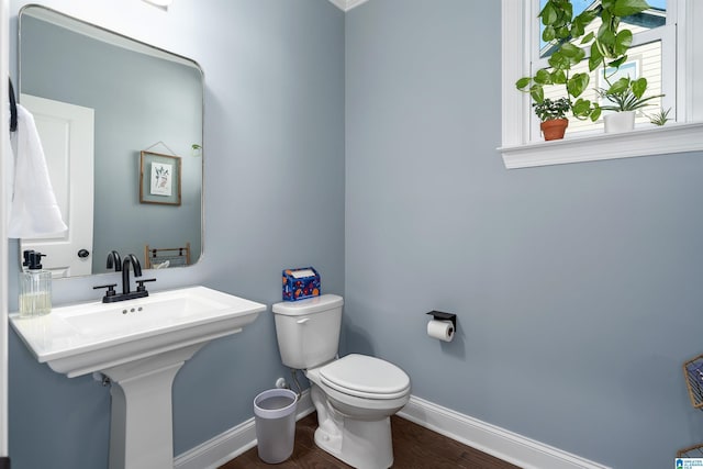 bathroom featuring toilet and wood-type flooring