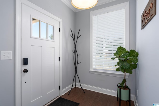 entrance foyer with dark wood-type flooring and a wealth of natural light