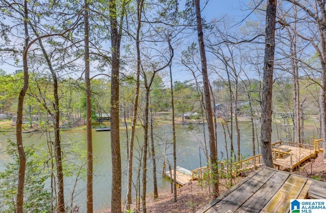 property view of water featuring a boat dock